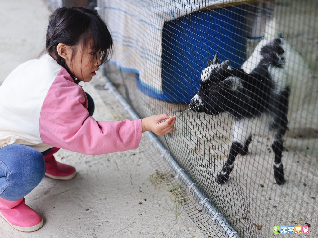 20251031-cbkbz 20251031-cbkbz