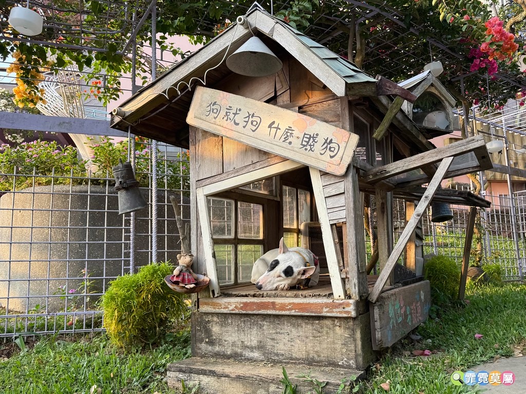 20251031-dxc6y 20251031-dxc6y