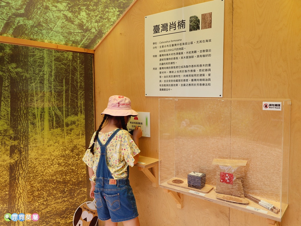 20251031-e9vcr 20251031-e9vcr