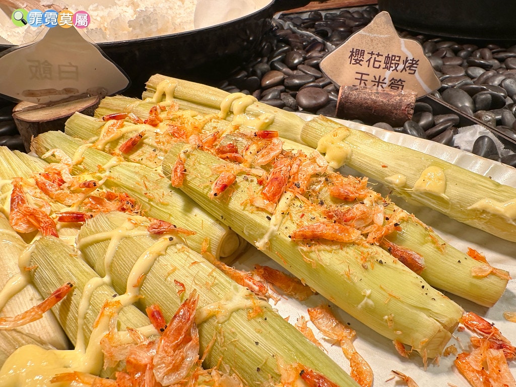 20251031-h9d0x 20251031-h9d0x