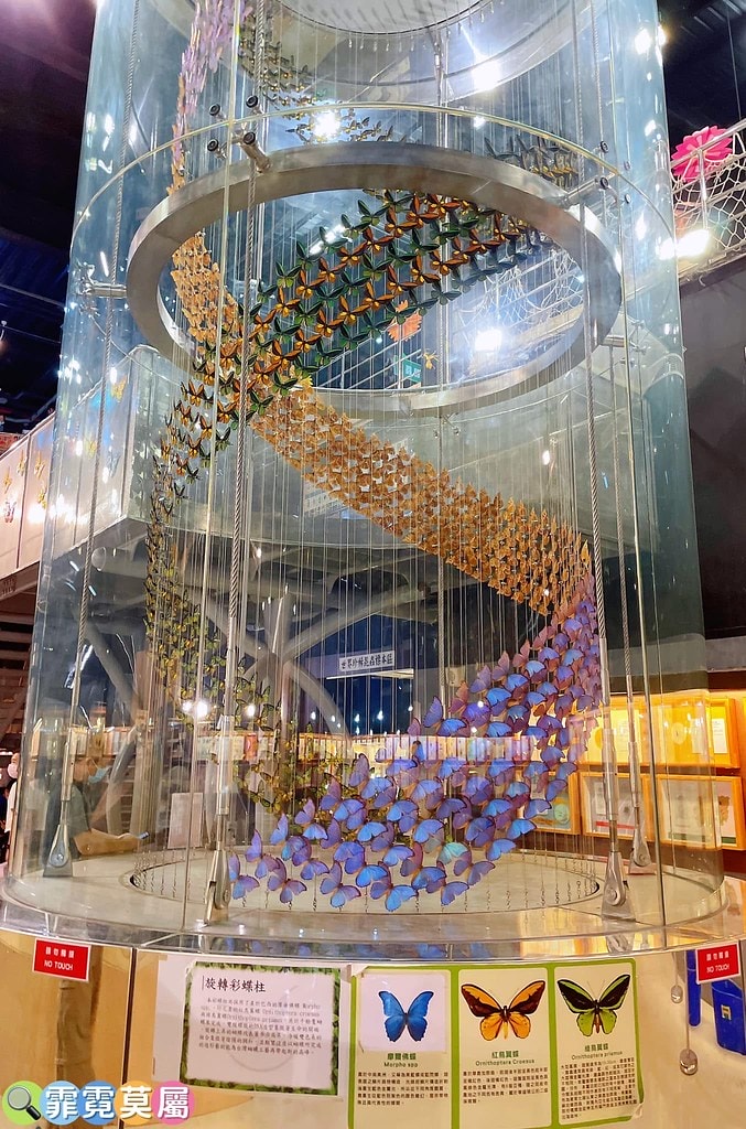 20251031-km5bx 20251031-km5bx