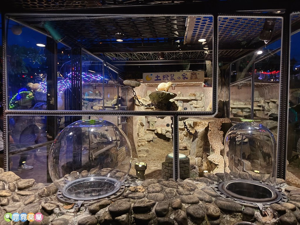 20251031-l3ddr 20251031-l3ddr