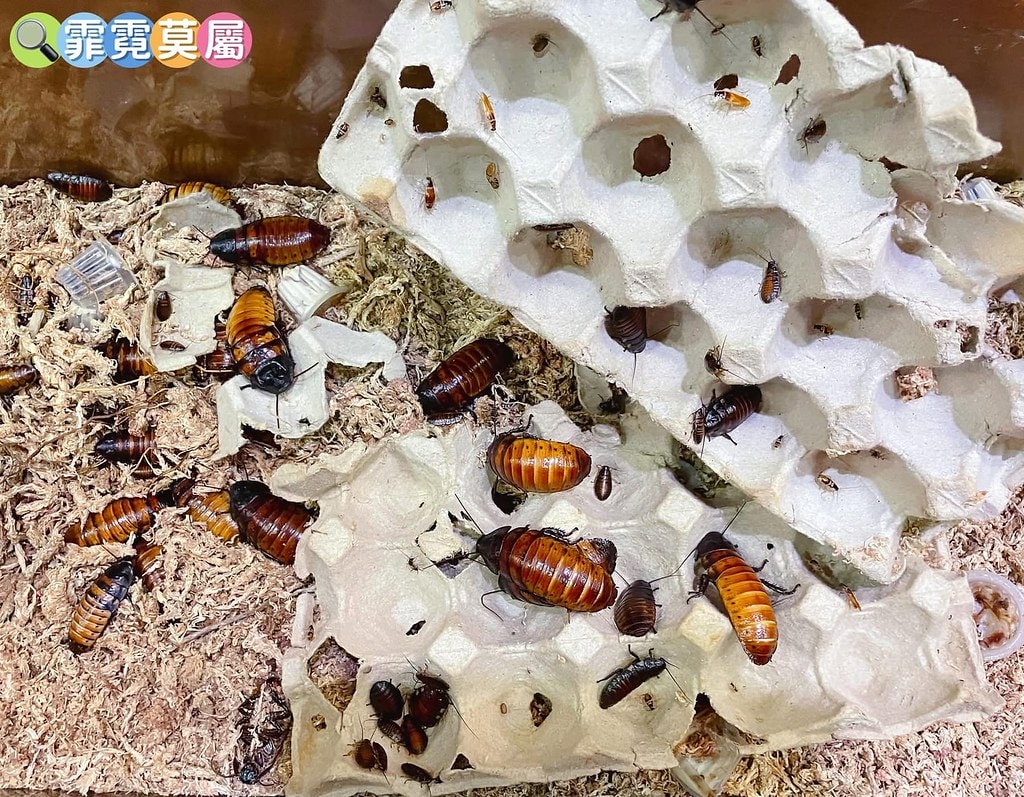 20251031-mvzbm 20251031-mvzbm