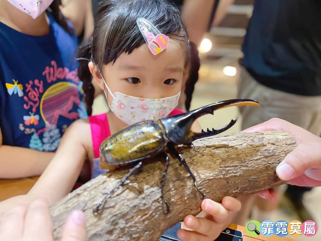 20251031-p10do 20251031-p10do