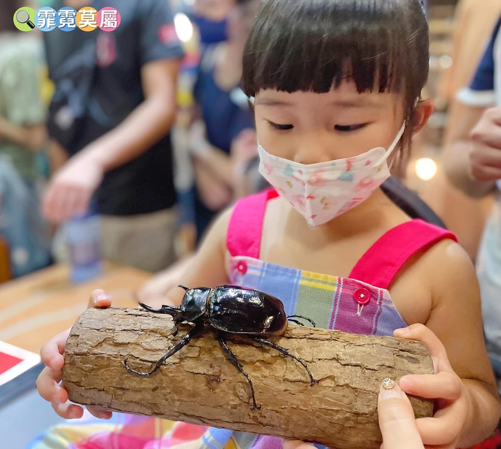 20251031-sckez 20251031-sckez