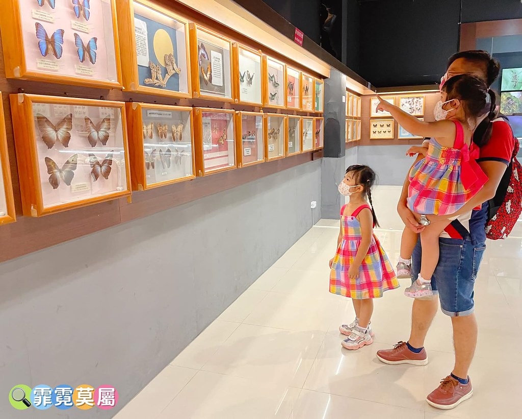 20251031-sjqs8 20251031-sjqs8