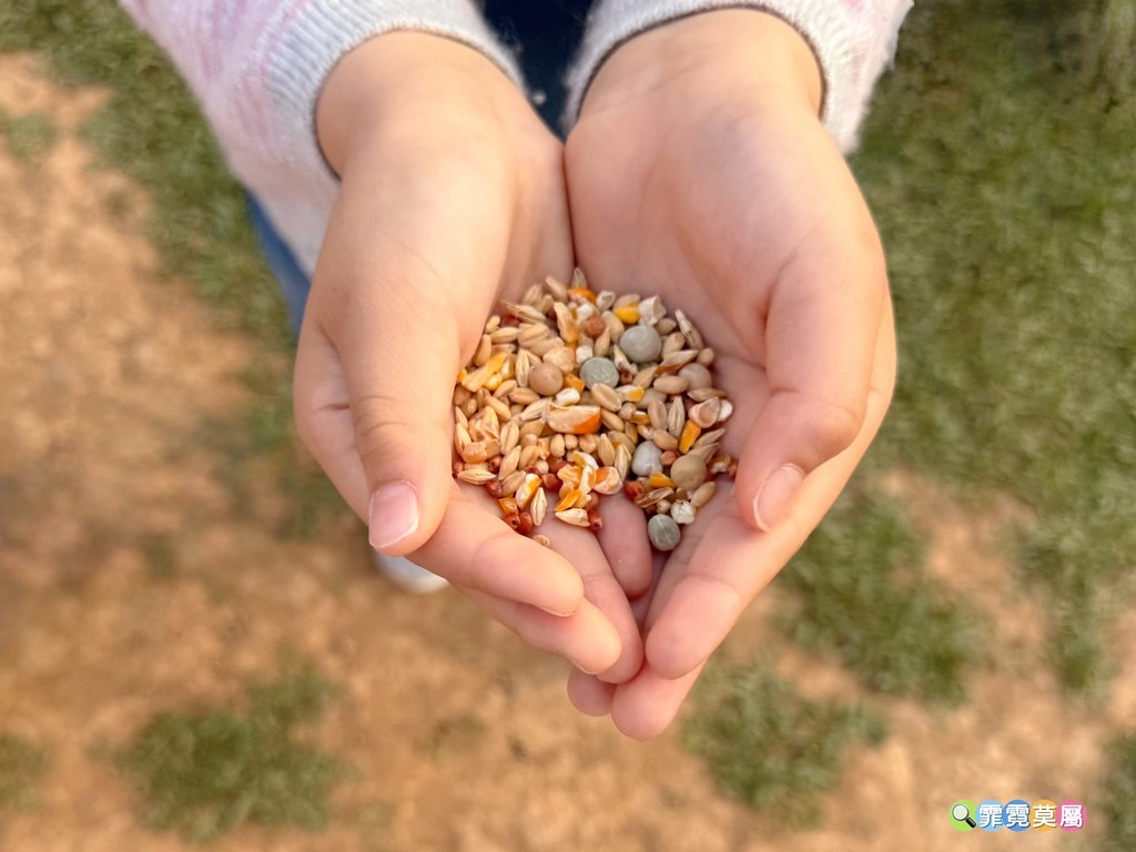 20251031-t2mqp 20251031-t2mqp