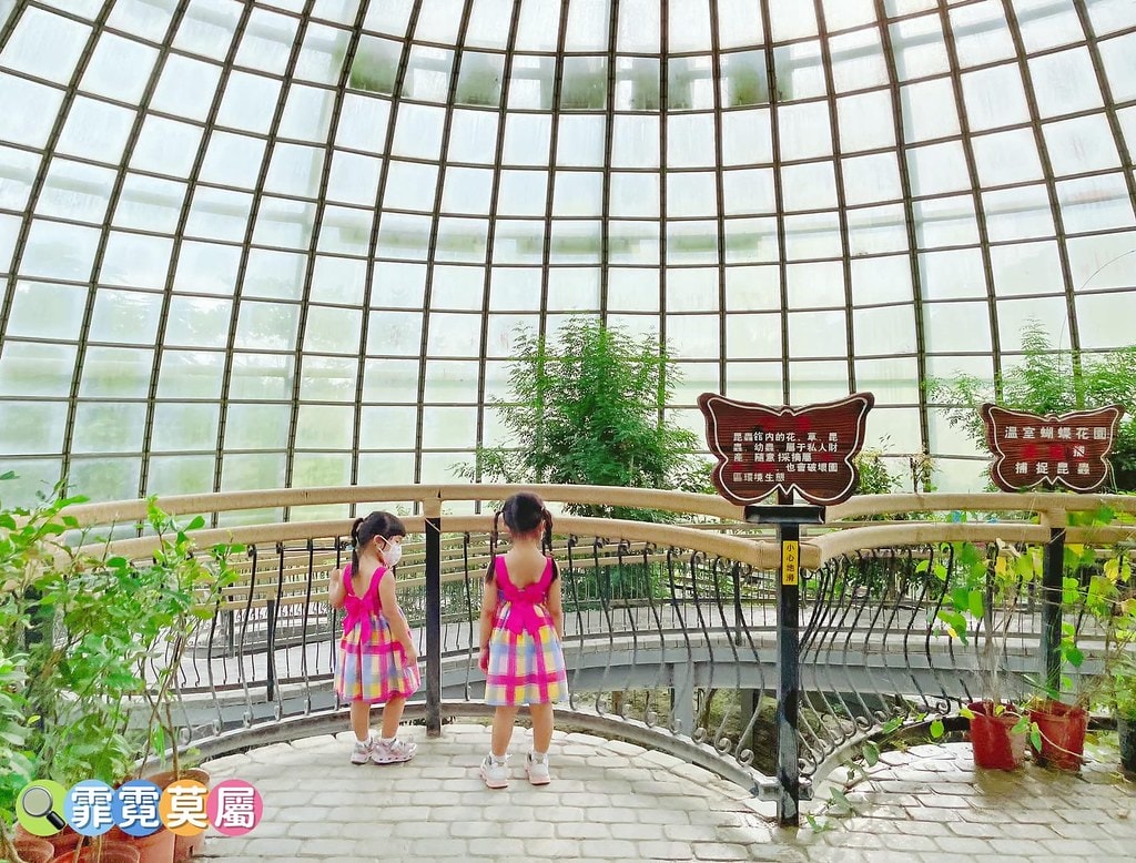 20251031-t564t 20251031-t564t