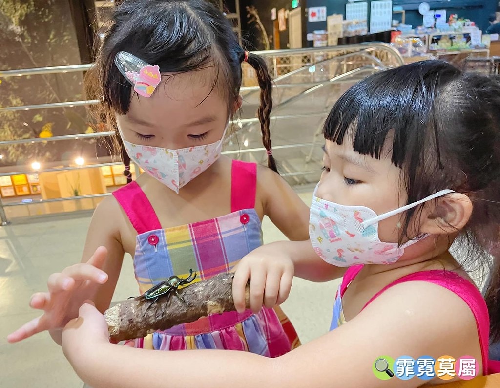 20251031-w52up 20251031-w52up