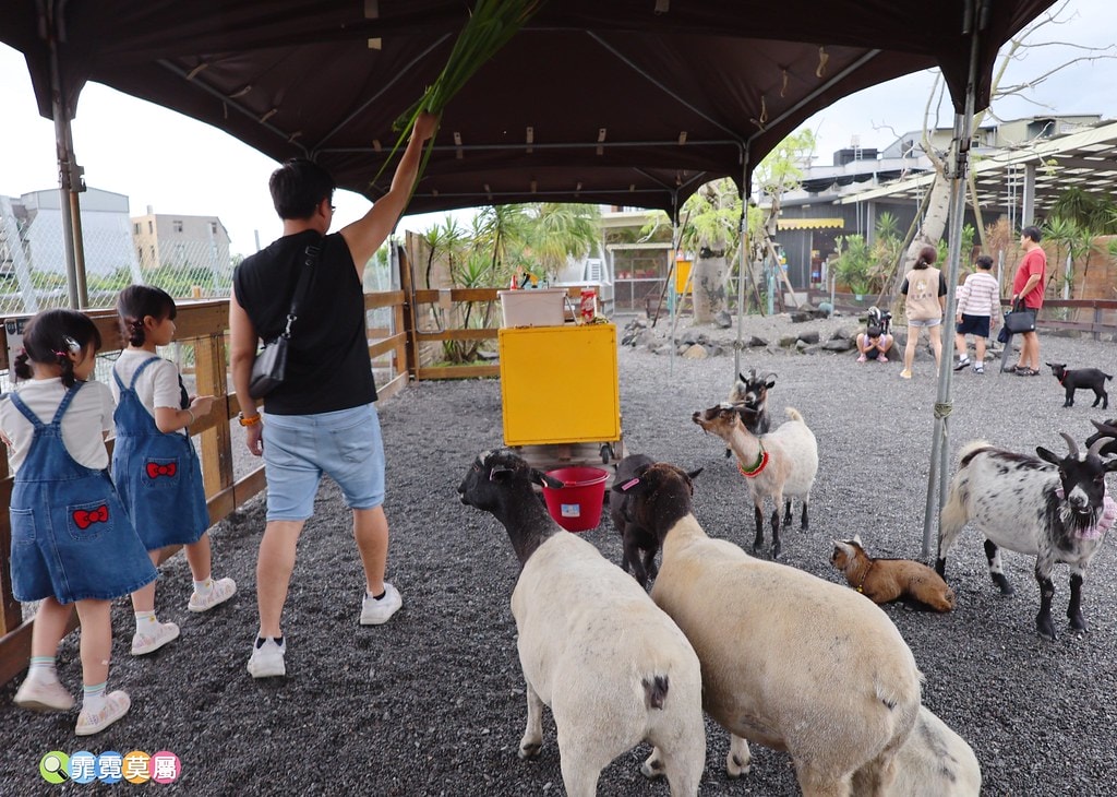 20251031-2s5sr 20251031-2s5sr