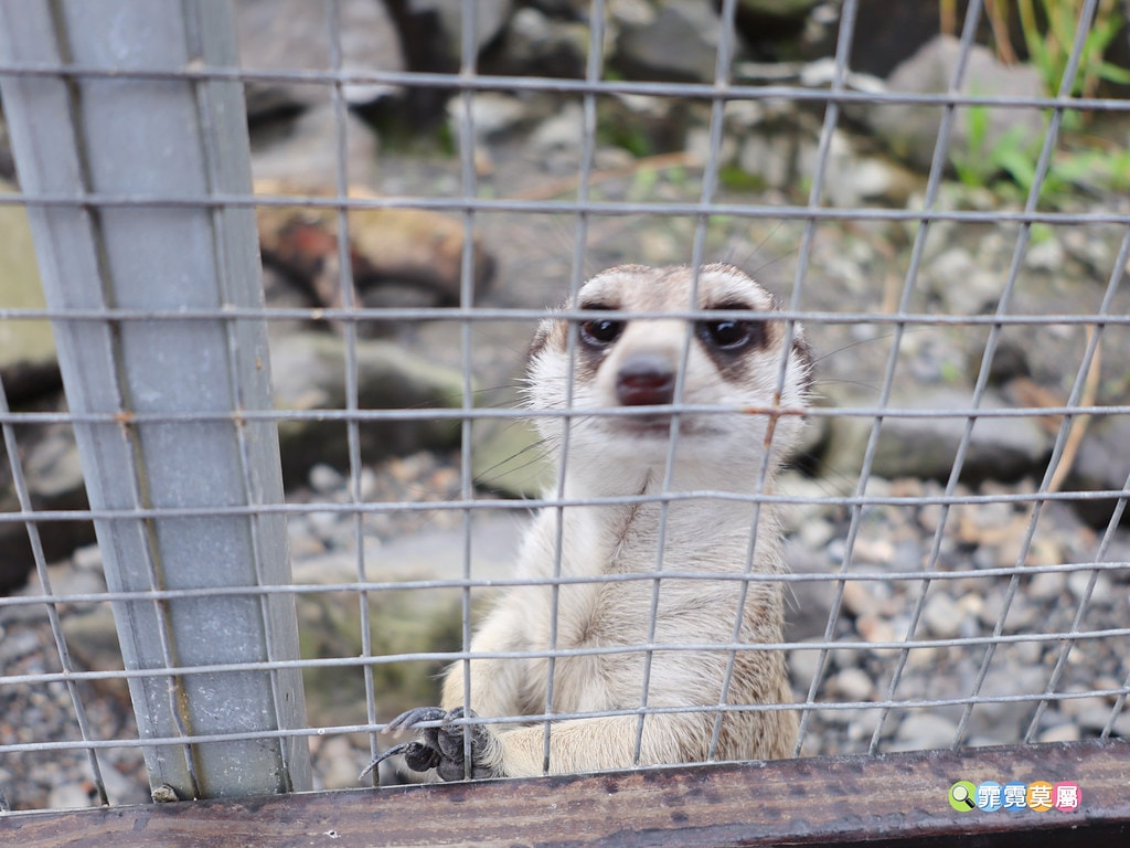 20251031-4d8wa 20251031-4d8wa