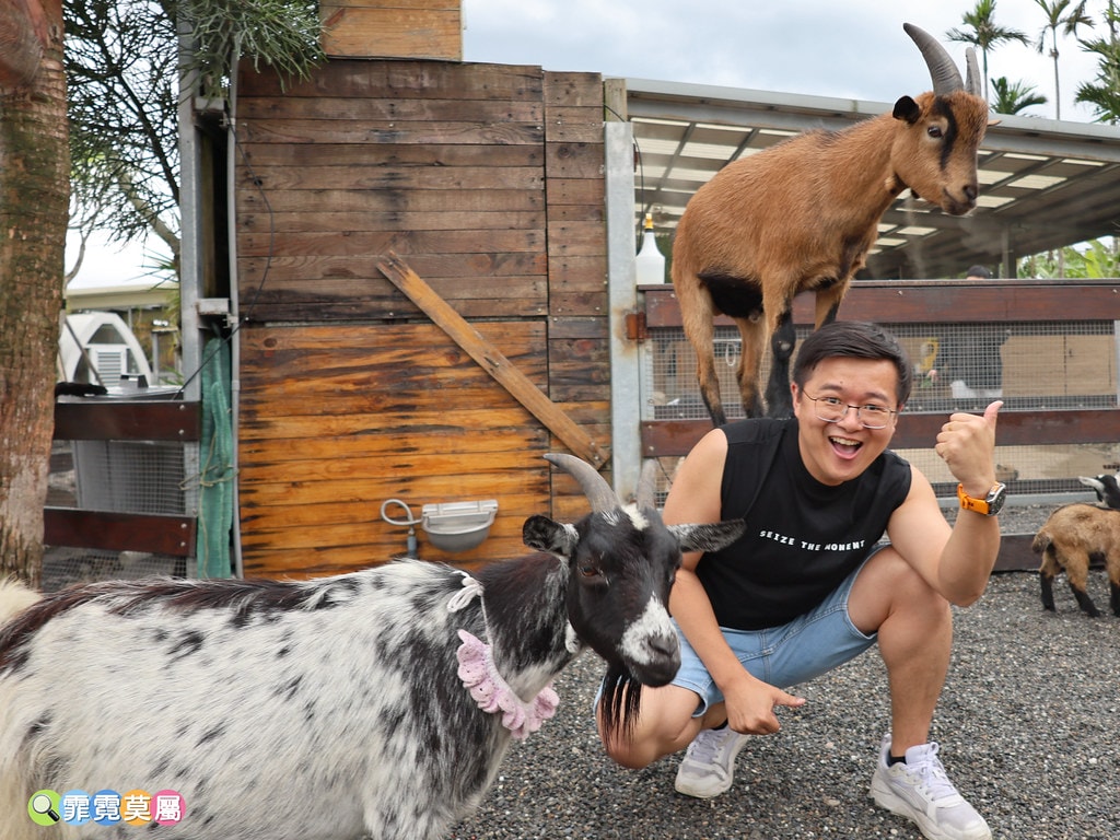 20251031-8wcgr 20251031-8wcgr