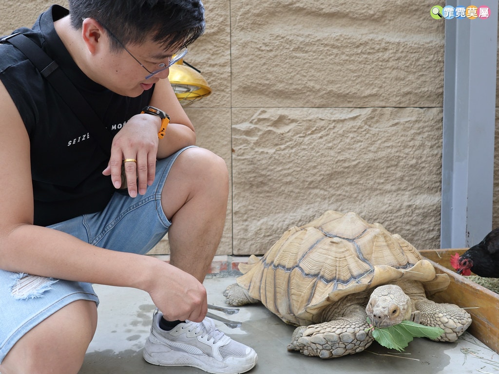 20251031-c1i2e 20251031-c1i2e