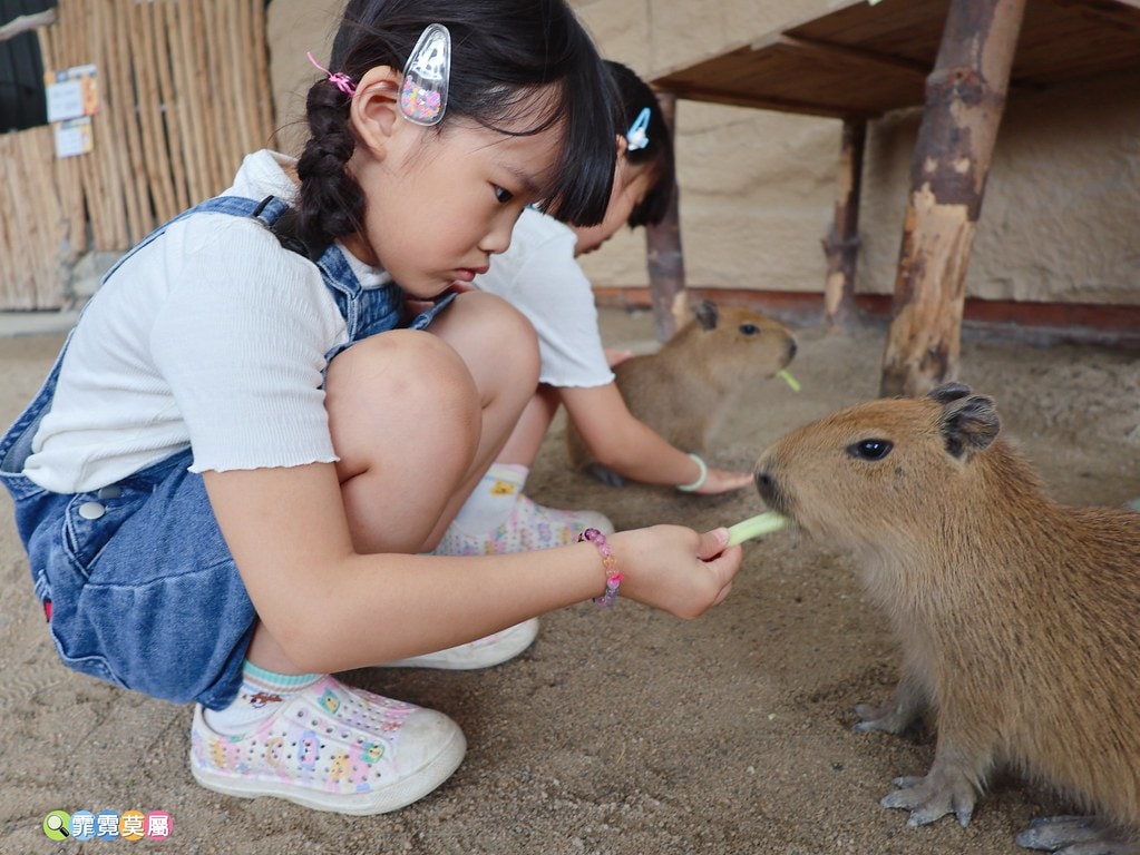 20251031-j4v66 20251031-j4v66