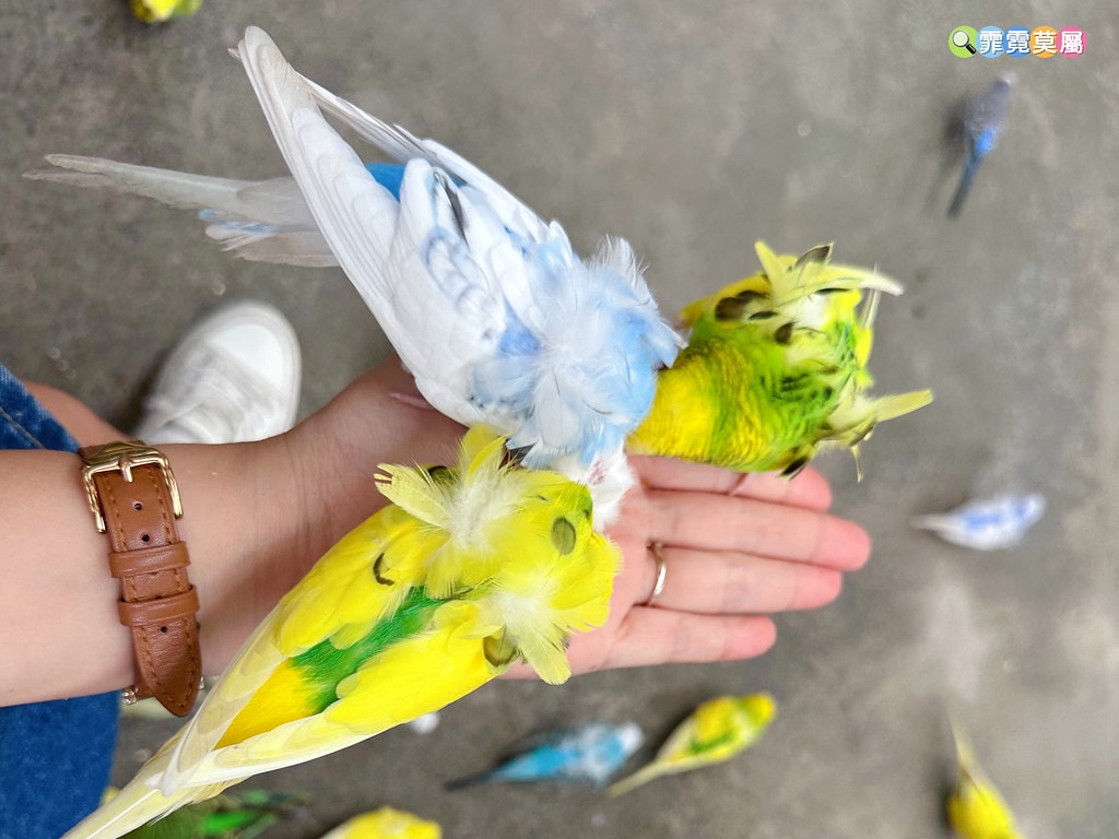 20251031-kybsv 20251031-kybsv