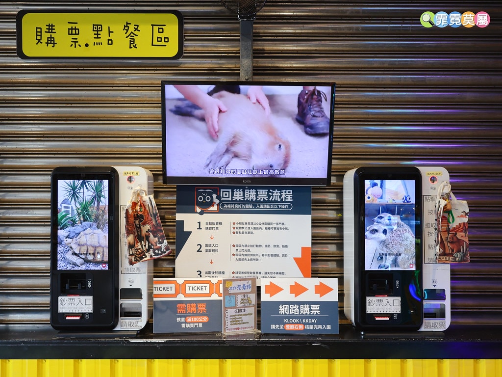 20251031-niy9p 20251031-niy9p