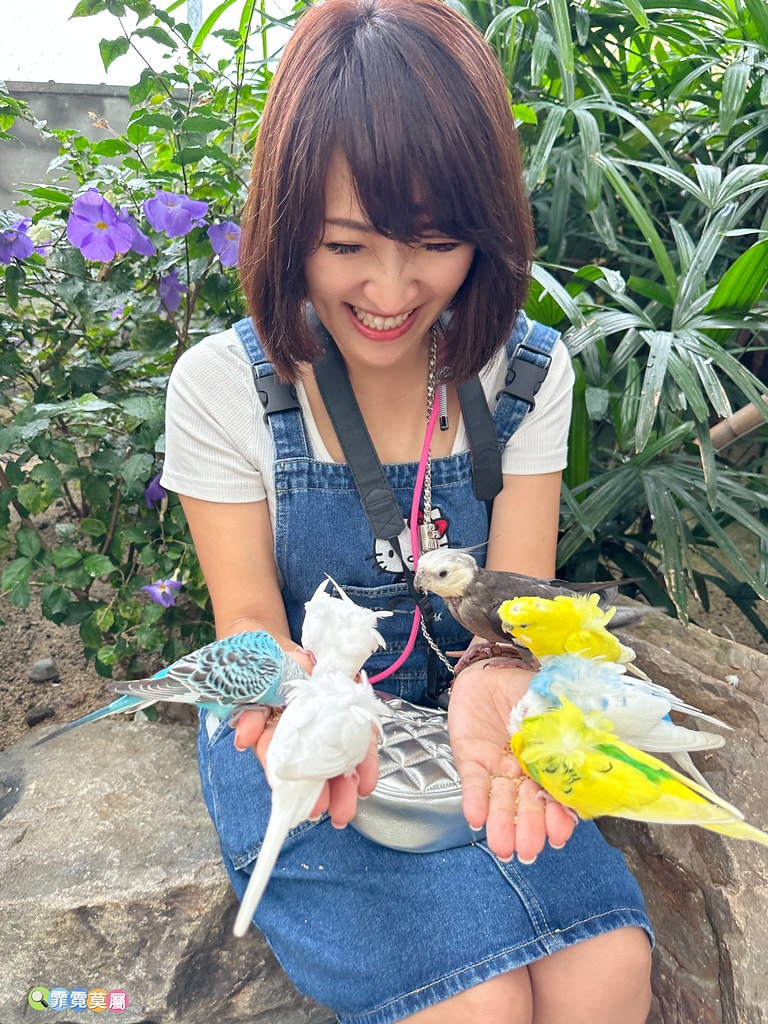 20251031-wne3f 20251031-wne3f