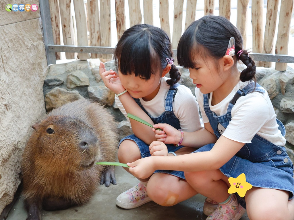 20251031-xpyrb 20251031-xpyrb