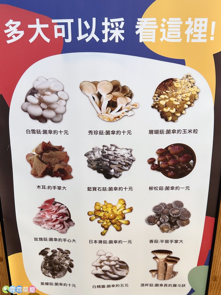 ★南投免費親子景點★ 豐年靈芝菇類生態農場,免門票參觀還有免 S__110510122_0