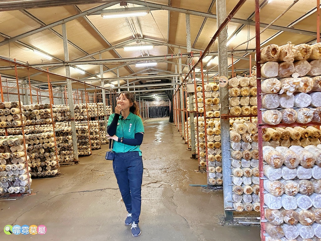 ★南投免費親子景點★ 豐年靈芝菇類生態農場,免門票參觀還有免 S__110510120_0