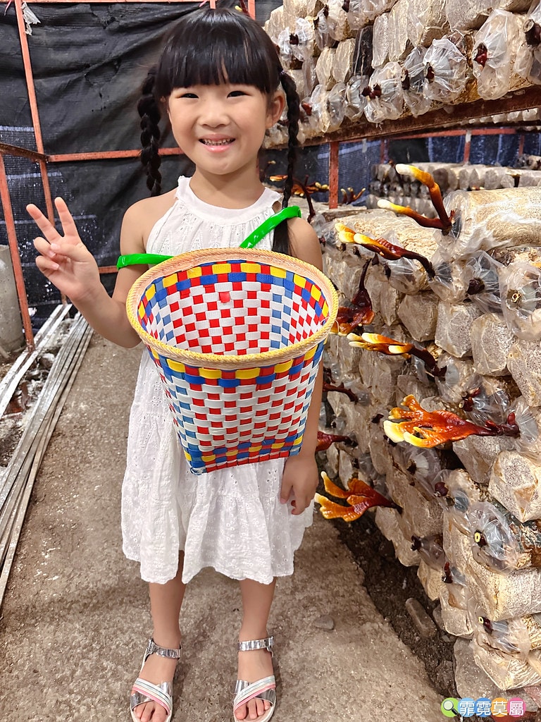 ★南投免費親子景點★ 豐年靈芝菇類生態農場,免門票參觀還有免 S__110510105_0