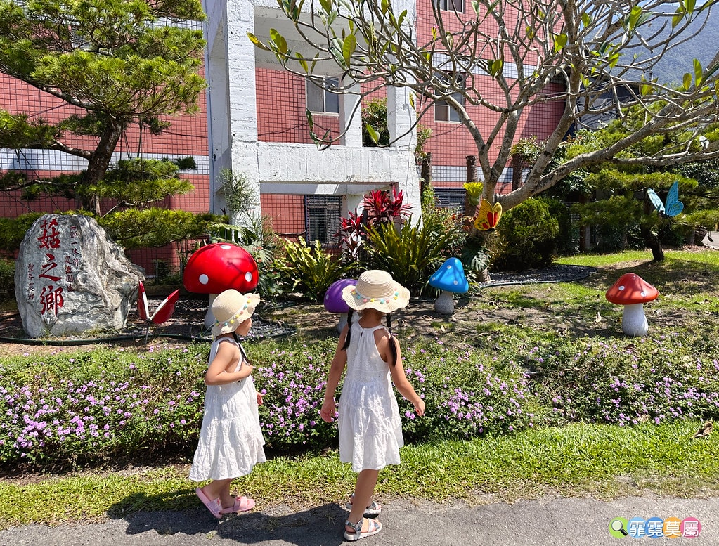 ★南投免費親子景點★ 豐年靈芝菇類生態農場,免門票參觀還有免 S__110510127_0