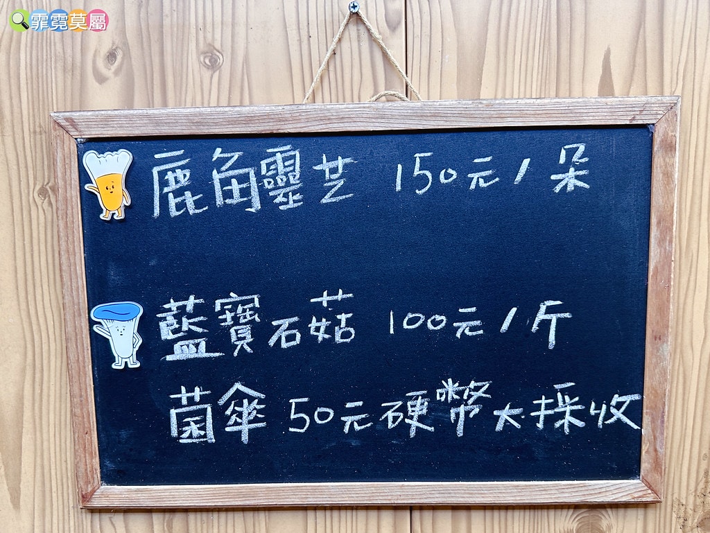 ★南投免費親子景點★ 豐年靈芝菇類生態農場,免門票參觀還有免 S__110510119_0