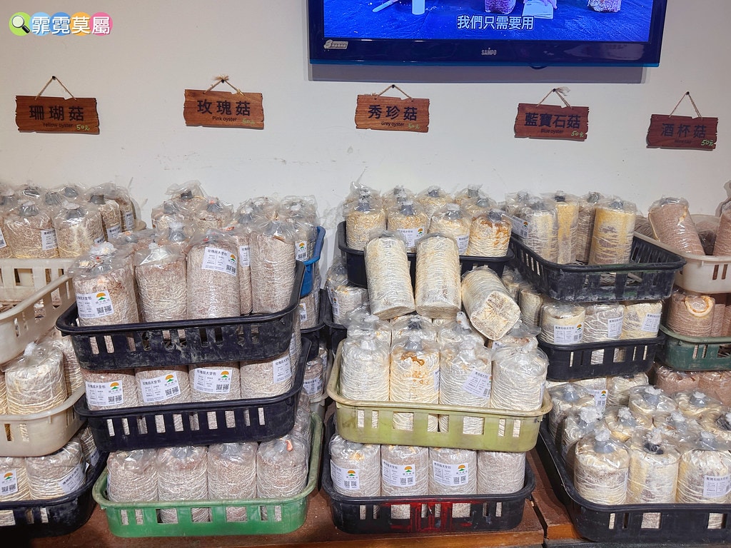 ★南投免費親子景點★ 豐年靈芝菇類生態農場,免門票參觀還有免 S__110510102_0