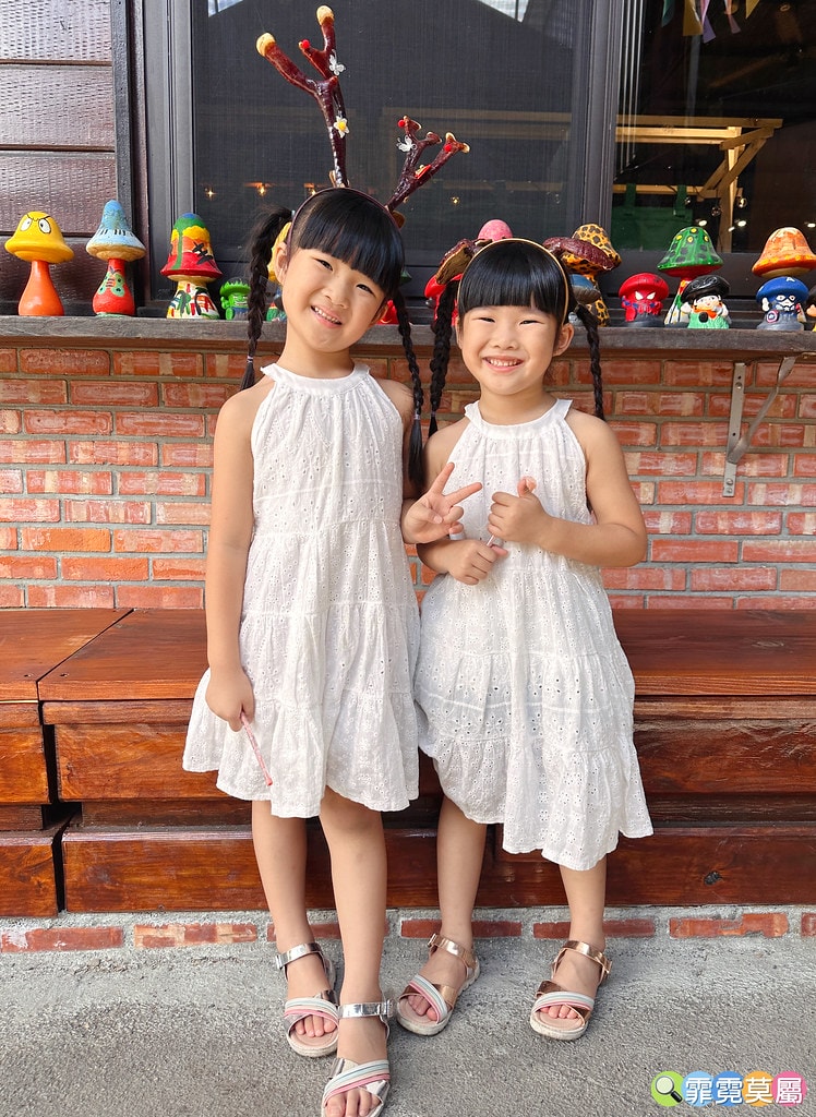 ★南投免費親子景點★ 豐年靈芝菇類生態農場,免門票參觀還有免 S__110510089_0