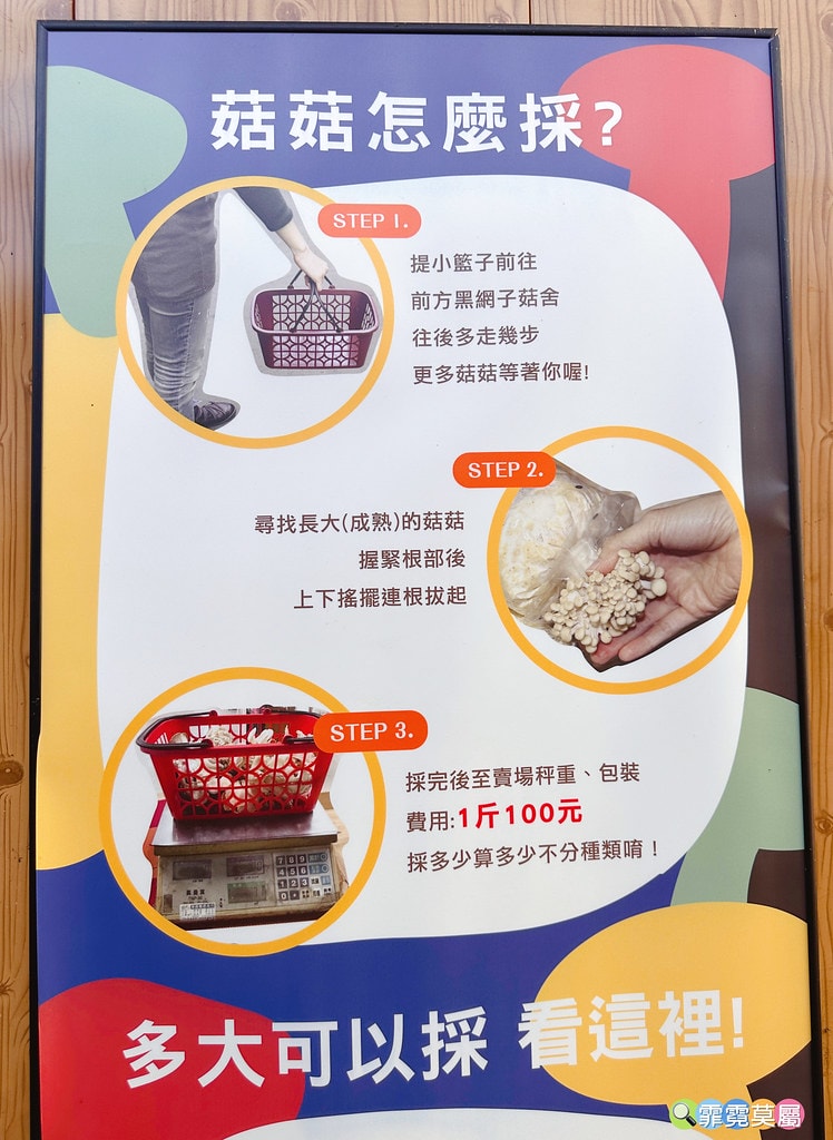 ★南投免費親子景點★ 豐年靈芝菇類生態農場,免門票參觀還有免 S__110510123_0