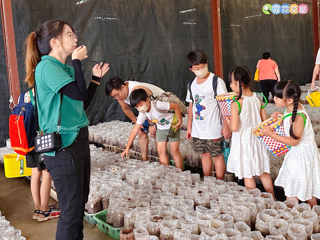 ★南投免費親子景點★ 豐年靈芝菇類生態農場,免門票參觀還有免 S__110510109_0