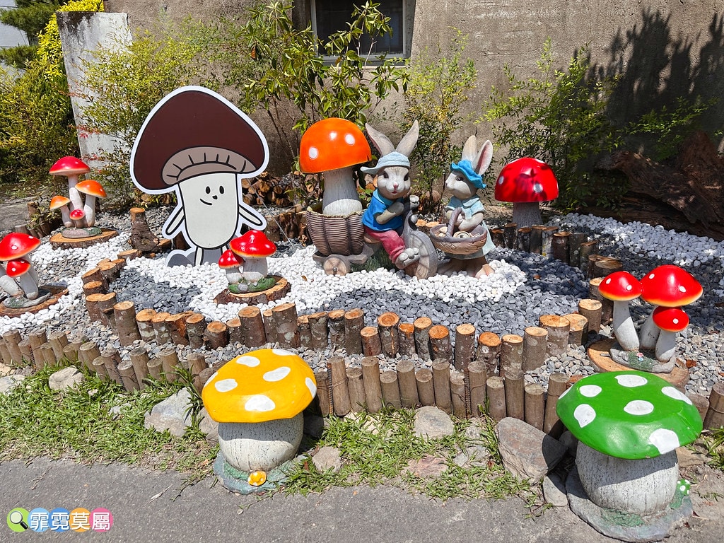 ★南投免費親子景點★ 豐年靈芝菇類生態農場,免門票參觀還有免 S__110510091_0