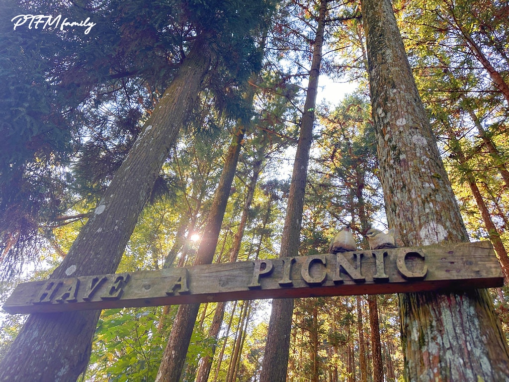 ★新竹景點★ 森窯have a picnic,森林系環境的窯 S__110780470_0