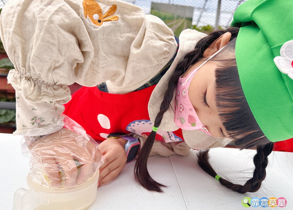 ★台北親子景點★ 內湖草莓園(內湖休閒農園),冬天限定小小草 S__111165492_0