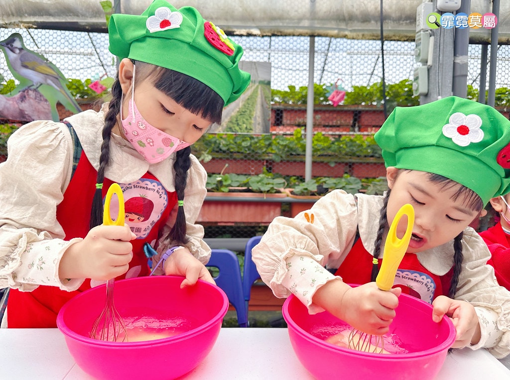 ★台北親子景點★ 內湖草莓園(內湖休閒農園),冬天限定小小草 S__111165486_0