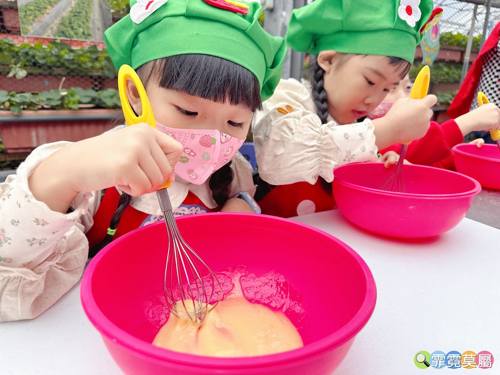 ★台北親子景點★ 內湖草莓園(內湖休閒農園),冬天限定小小草 S__111165489_0