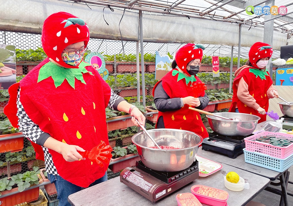 ★台北親子景點★ 內湖草莓園(內湖休閒農園),冬天限定小小草 S__111165491_0