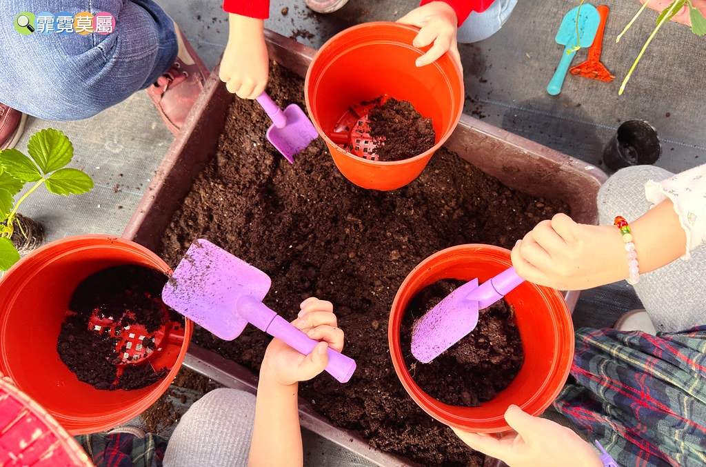 ★台北親子景點★ 內湖草莓園(內湖休閒農園),冬天限定小小草 S__111165476_0