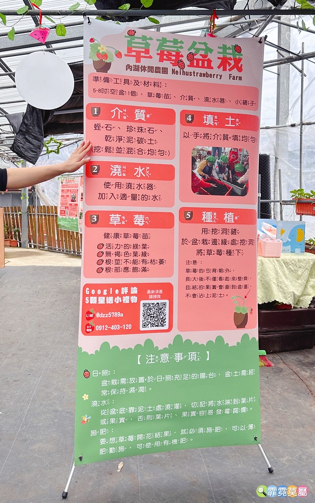 ★台北親子景點★ 內湖草莓園(內湖休閒農園),冬天限定小小草 S__111165453_0