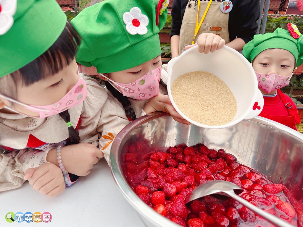 ★台北親子景點★ 內湖草莓園(內湖休閒農園),冬天限定小小草 S__111165495_0