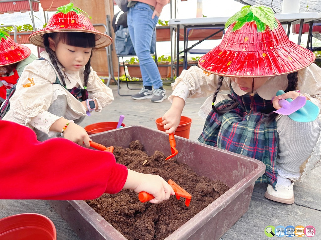 ★台北親子景點★ 內湖草莓園(內湖休閒農園),冬天限定小小草 S__111165482_0