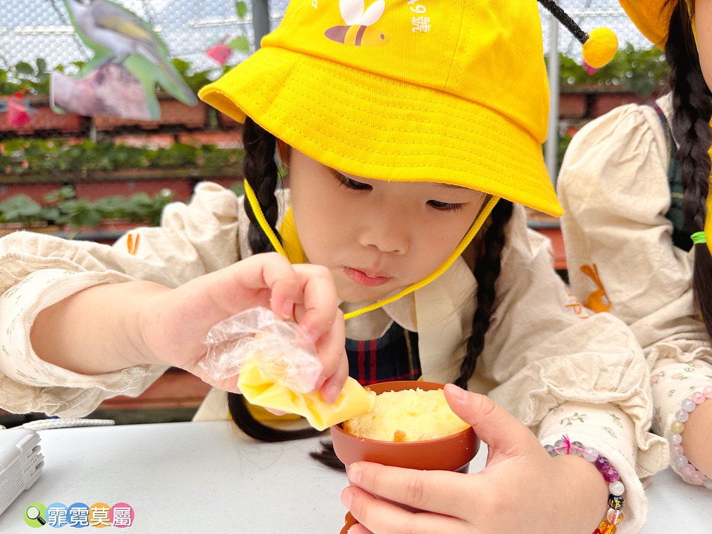 ★台北親子景點★ 內湖草莓園(內湖休閒農園),冬天限定小小草 S__111165459_0
