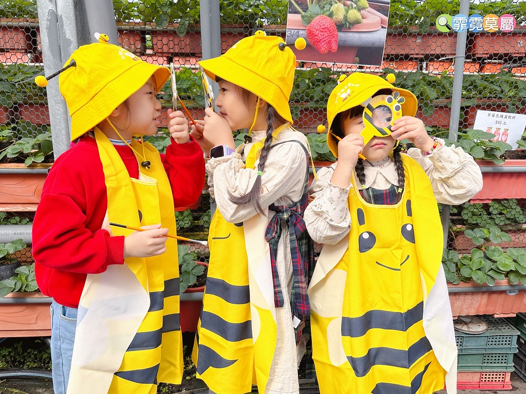 ★台北親子景點★ 內湖草莓園(內湖休閒農園),冬天限定小小草 S__111165464_0