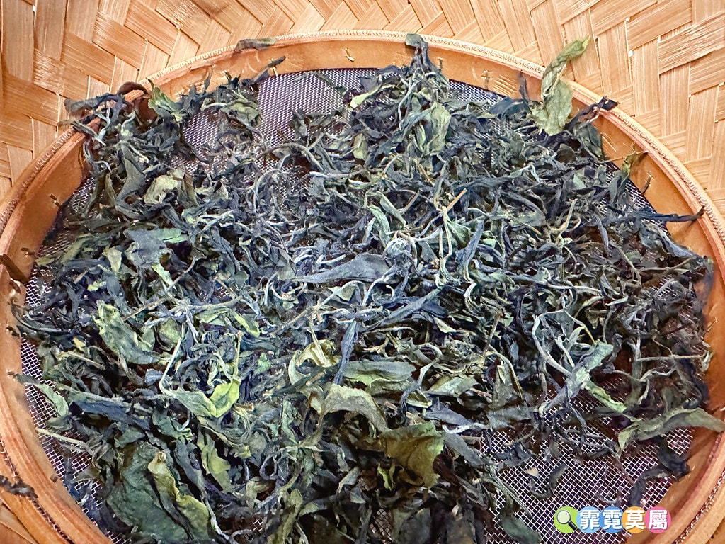 ★苗栗親子景點★ 銅鑼茶廠,可以看火車還能體驗採茶和製茶DI S__112484401_0