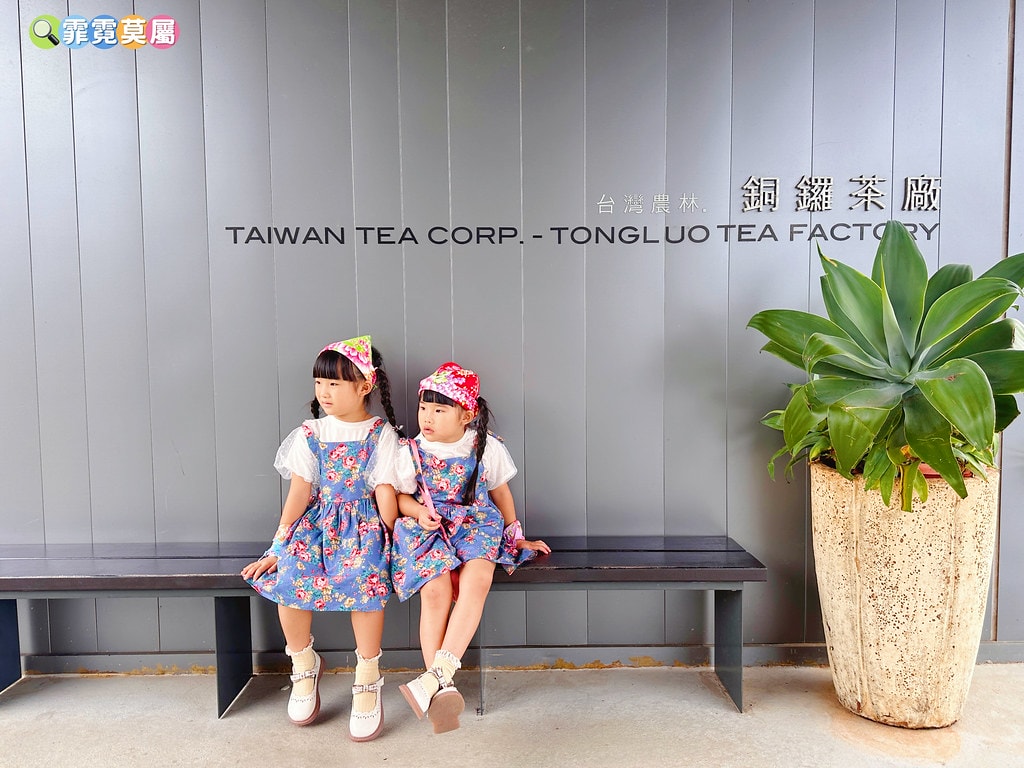 ★苗栗親子景點★ 銅鑼茶廠,可以看火車還能體驗採茶和製茶DI S__112484376_0