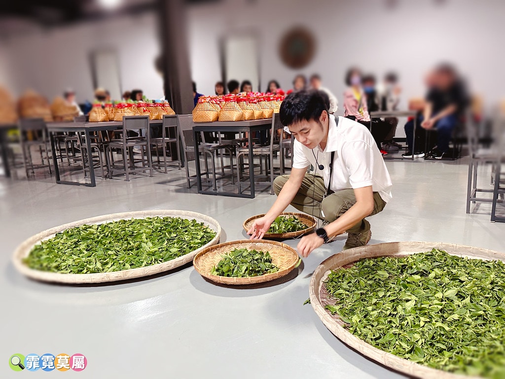 ★苗栗親子景點★ 銅鑼茶廠,可以看火車還能體驗採茶和製茶DI S__112484361_0