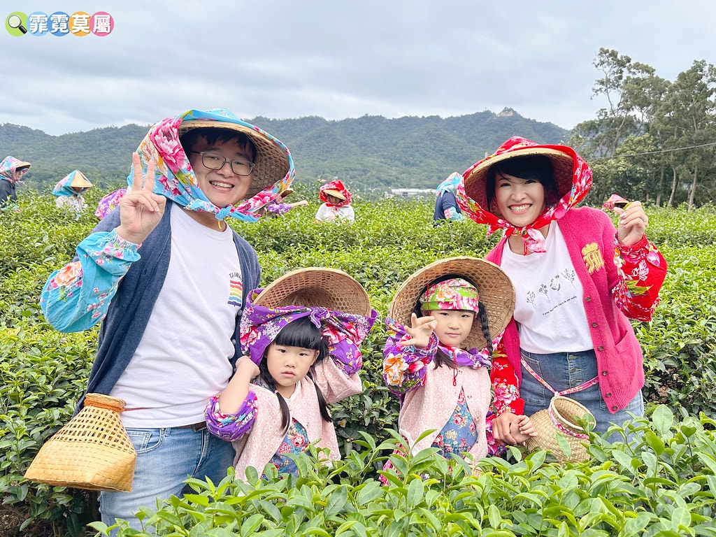 ★苗栗親子景點★ 銅鑼茶廠,可以看火車還能體驗採茶和製茶DI S__112484397_0