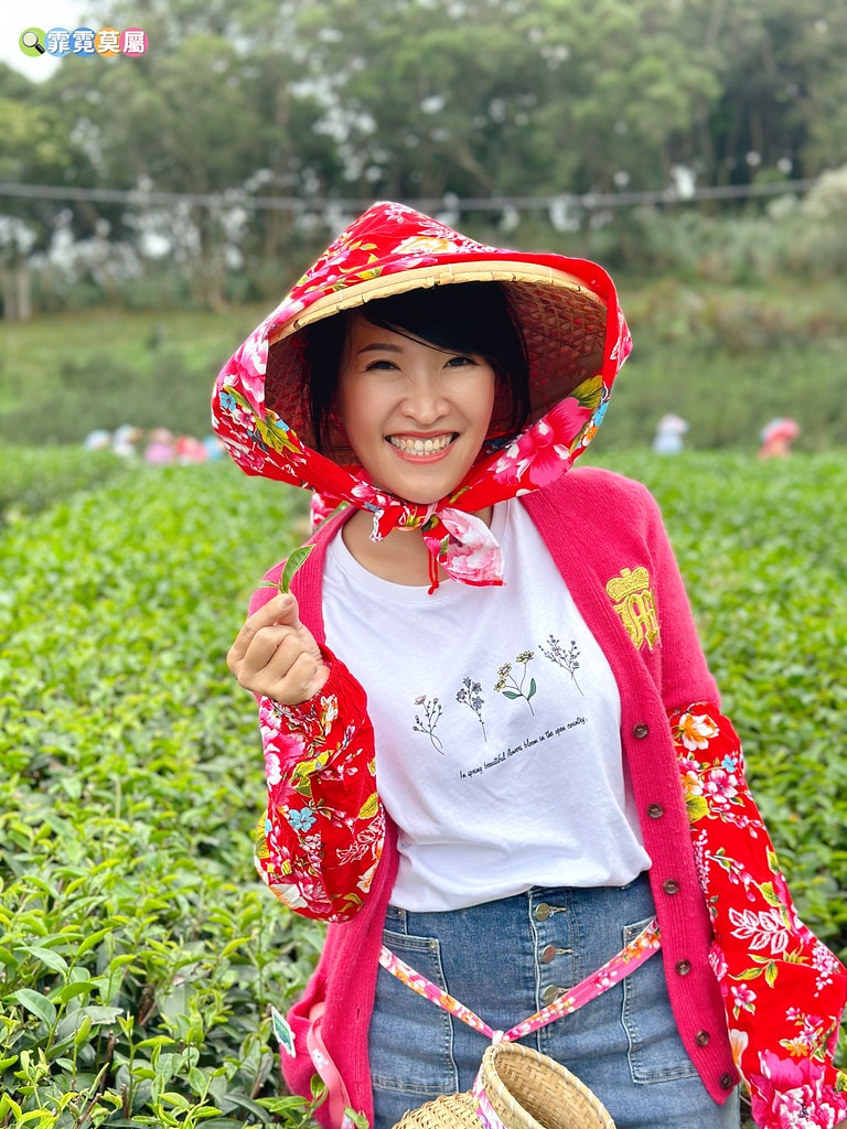 ★苗栗親子景點★ 銅鑼茶廠,可以看火車還能體驗採茶和製茶DI S__112484398_0