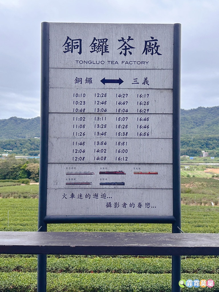 ★苗栗親子景點★ 銅鑼茶廠,可以看火車還能體驗採茶和製茶DI S__112484384_0