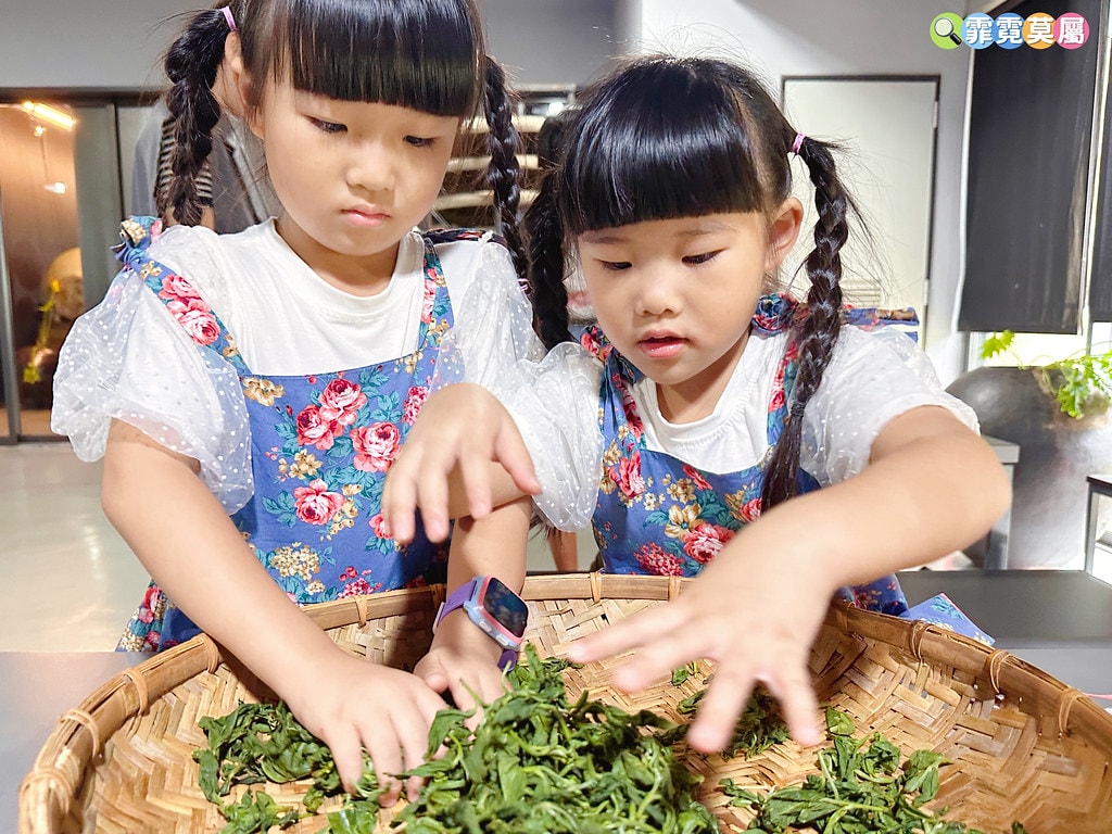 ★苗栗親子景點★ 銅鑼茶廠,可以看火車還能體驗採茶和製茶DI S__112484365_0